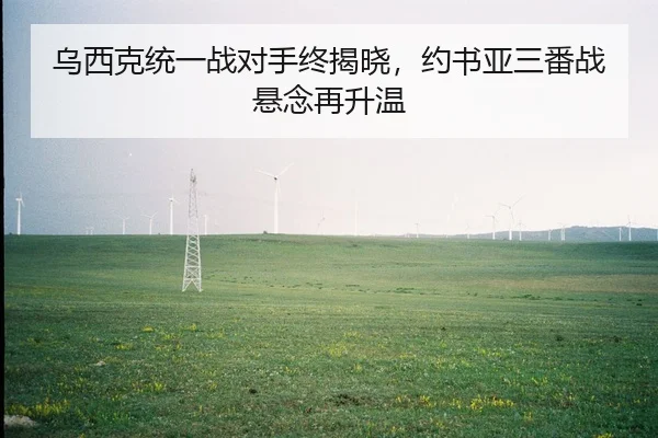 乌西克统一战对手终揭晓，约书亚三番战悬念再升温 - CROWN SPORTS